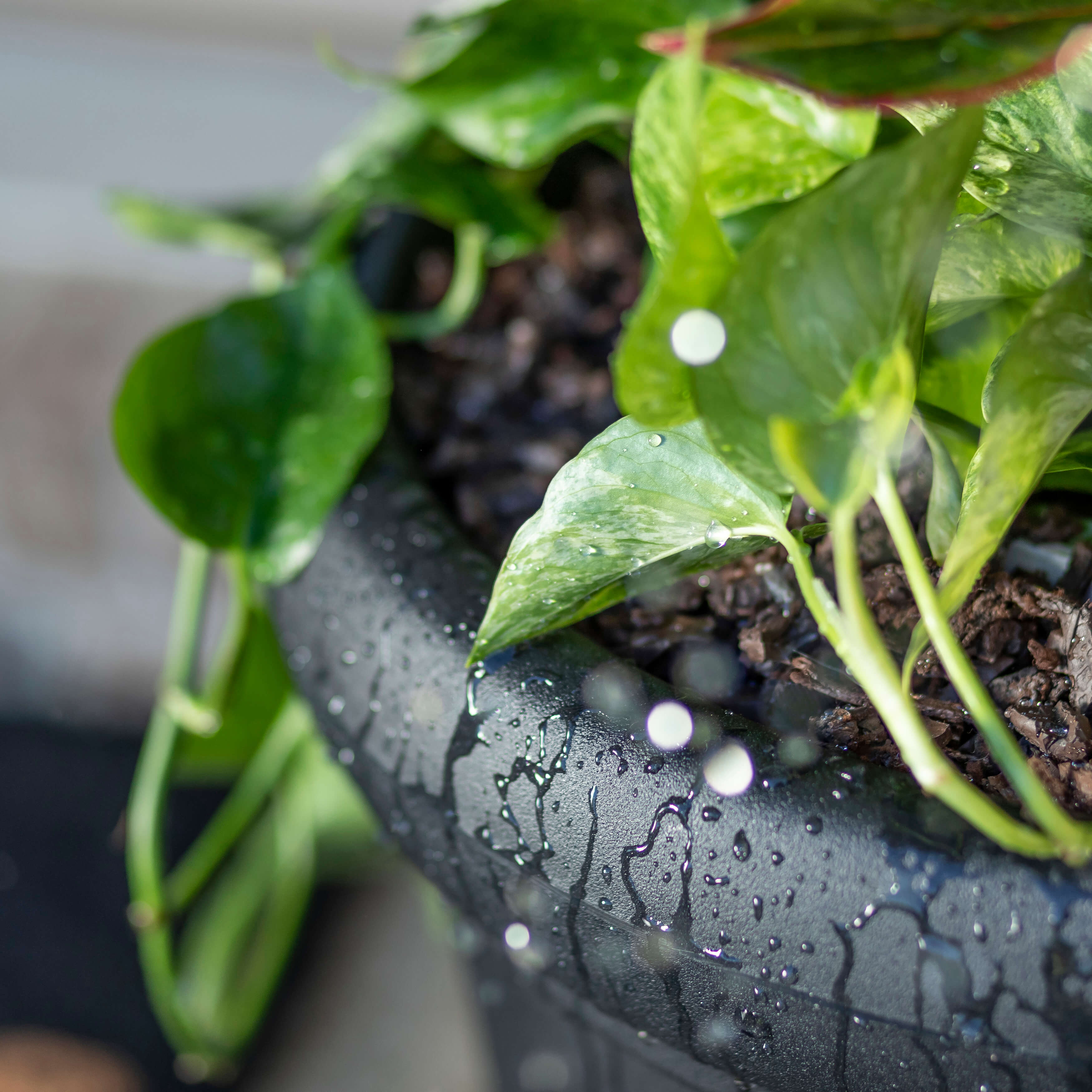 Claremont Planter - Onyx Black