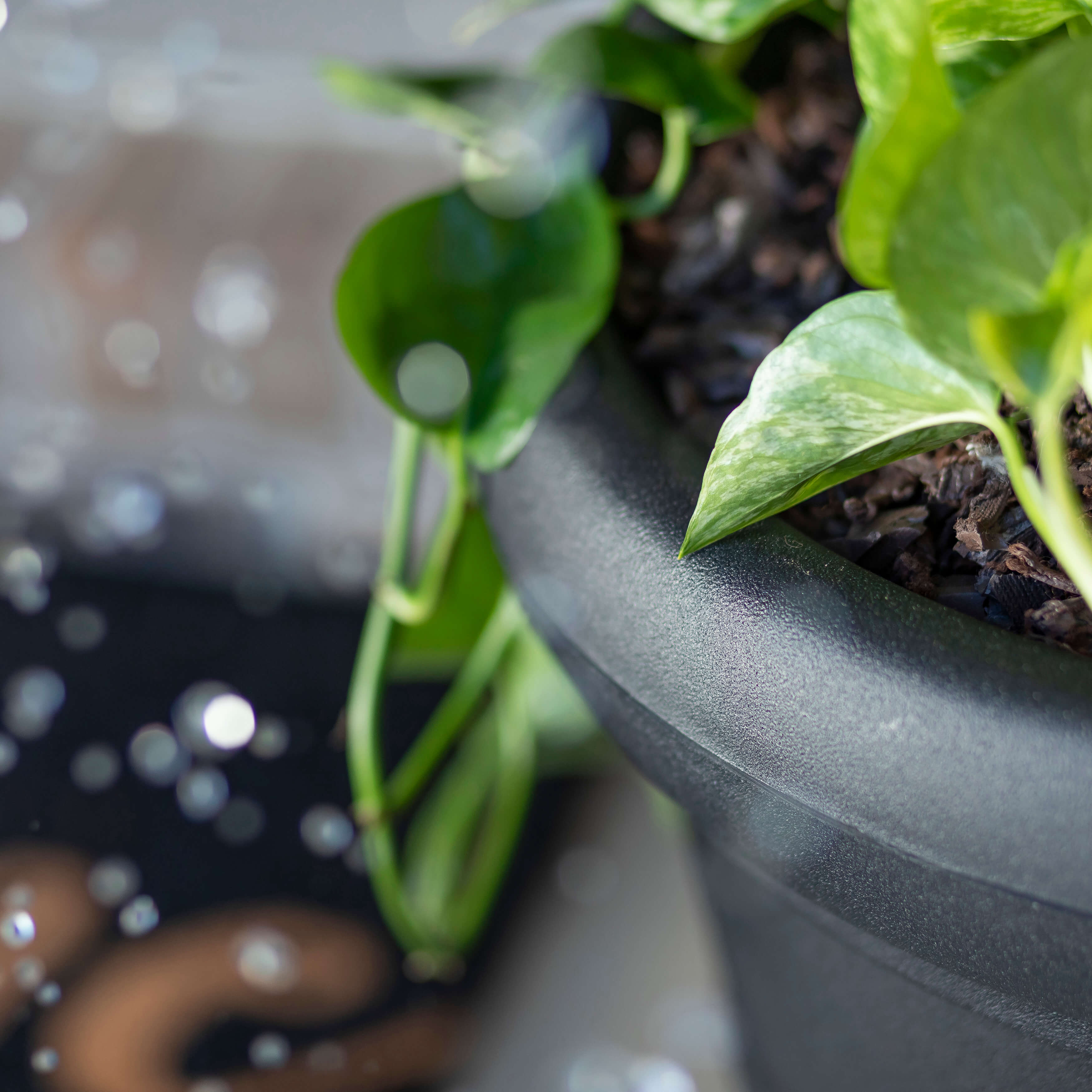 Claremont Planter - Onyx Black