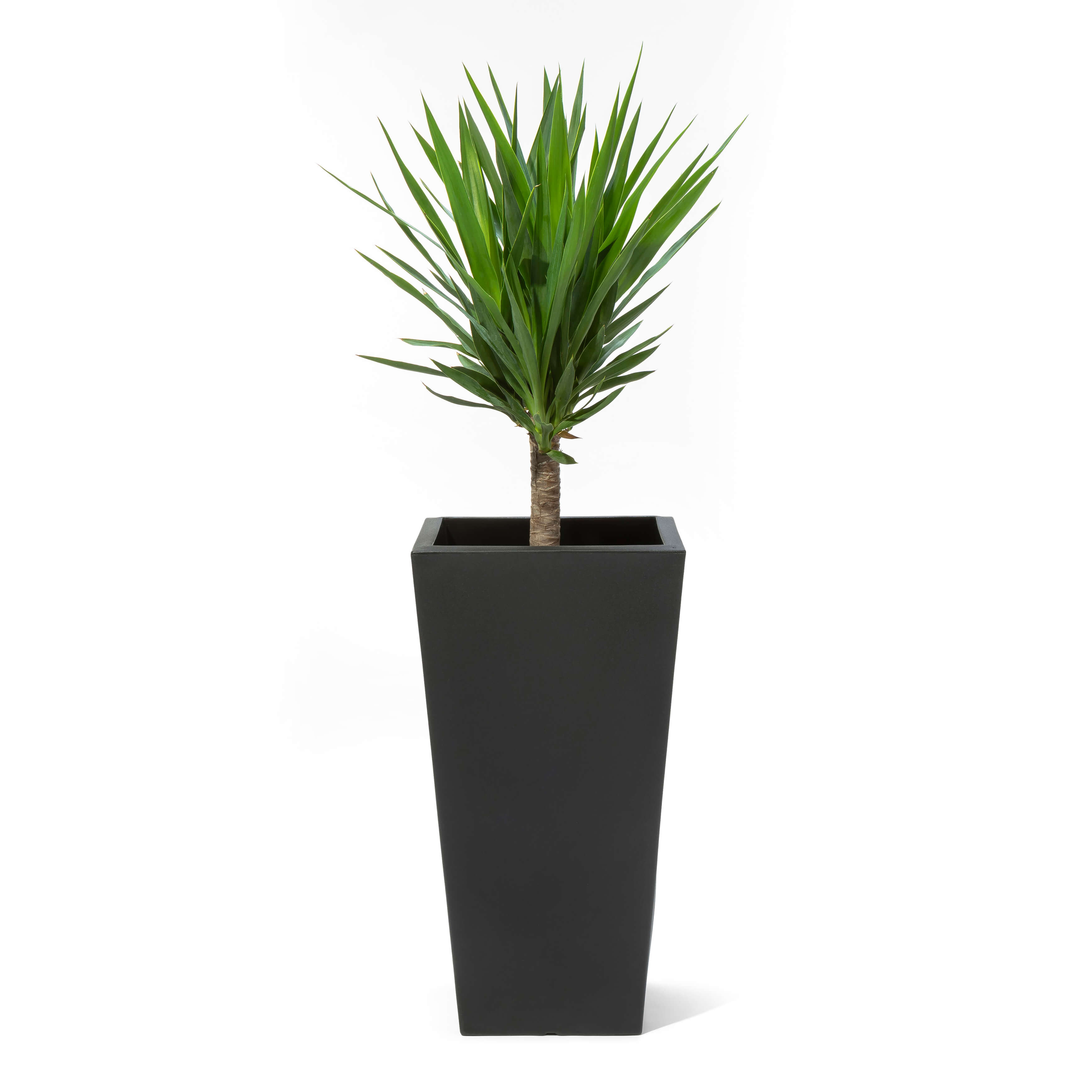 Tremont Tall Square Tapered Planter - Onyx Black