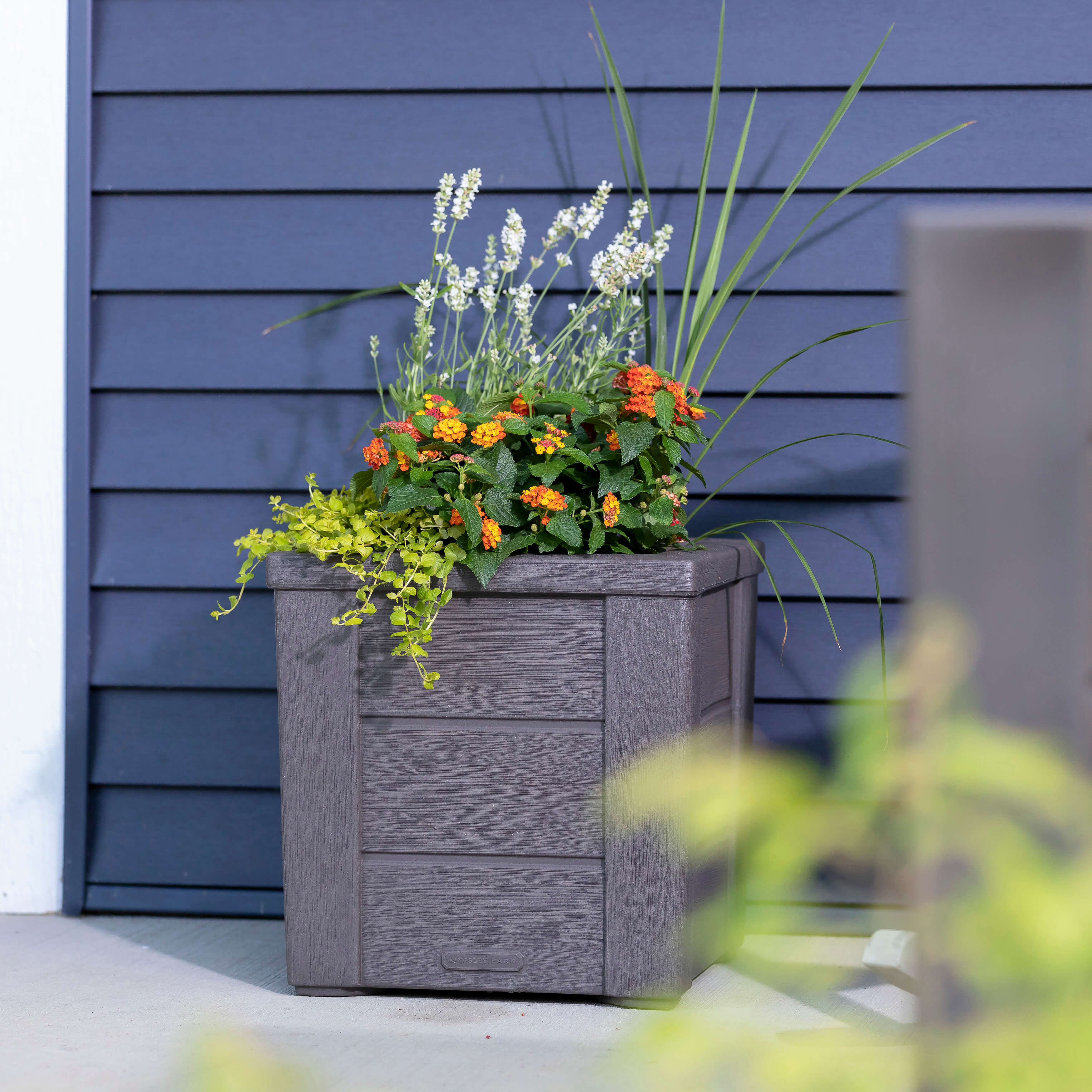 Lakewood Planter Box - Dark Cedar