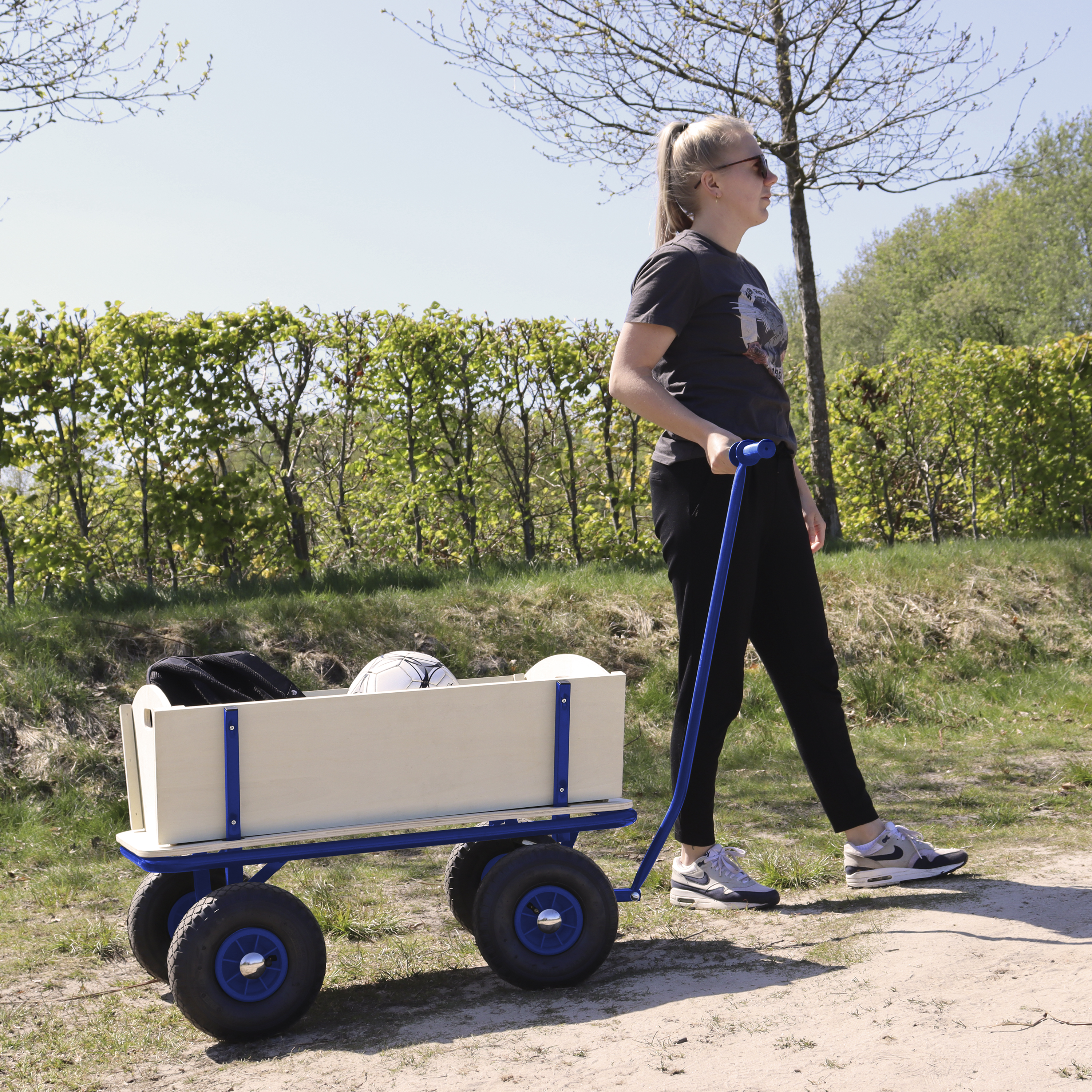 Billy Chariot de Transport en Bois