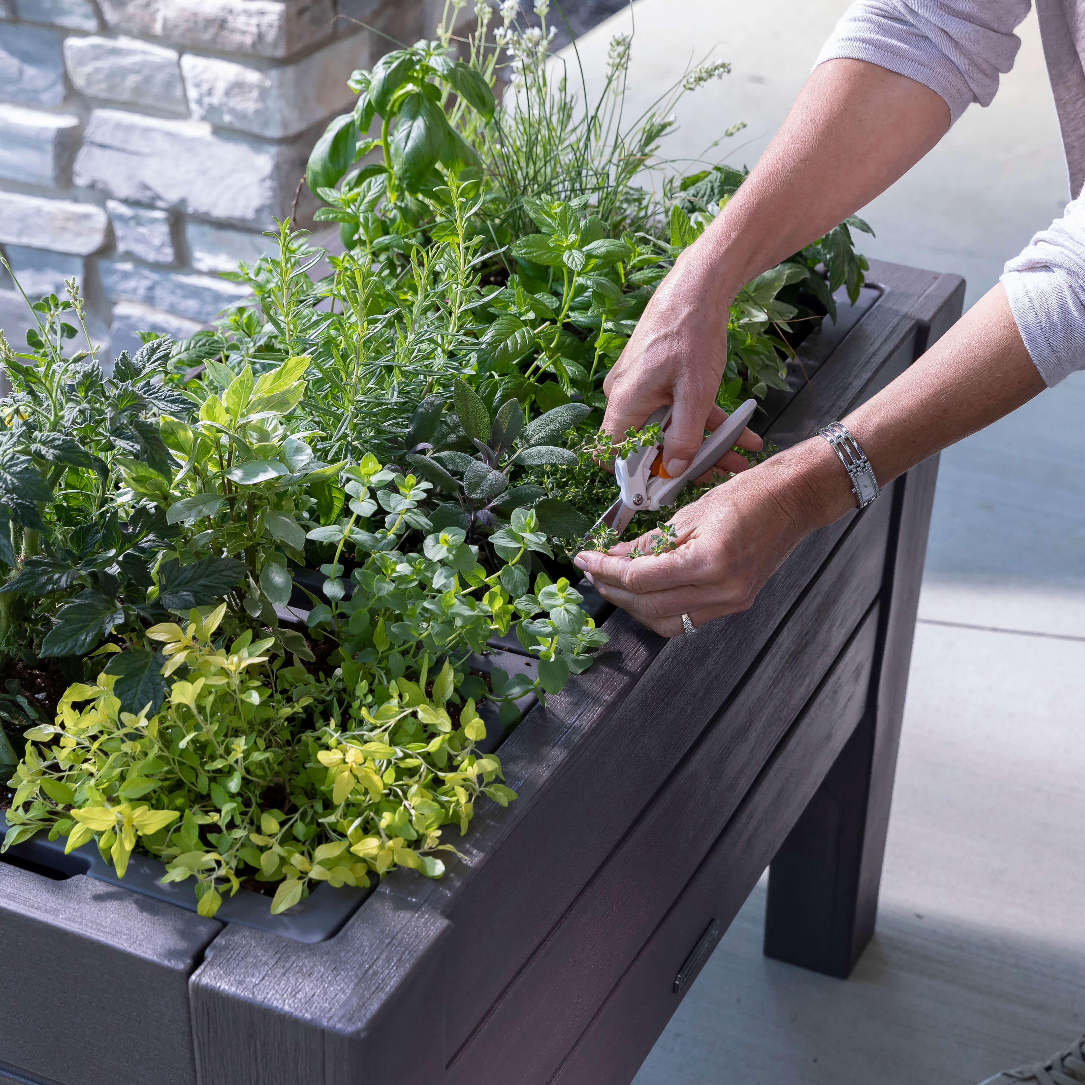 Lakewood Raised Planter Box - Dark Cedar