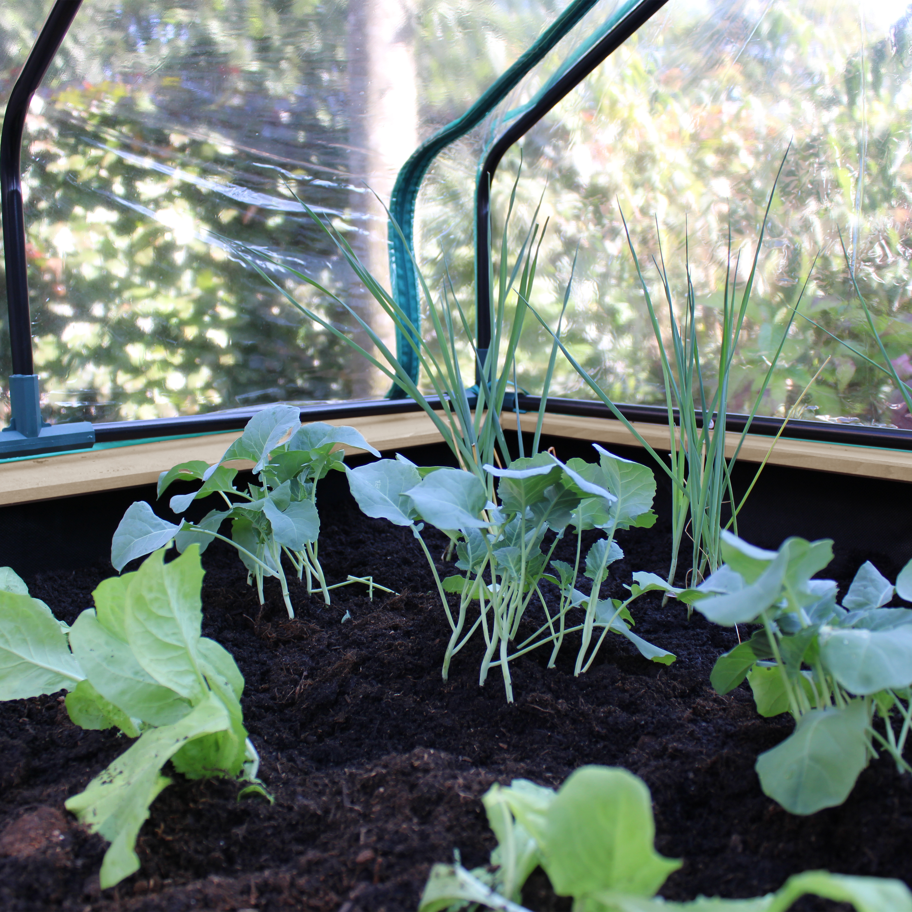 Linda Growing Table with Greenhouse Brown/White