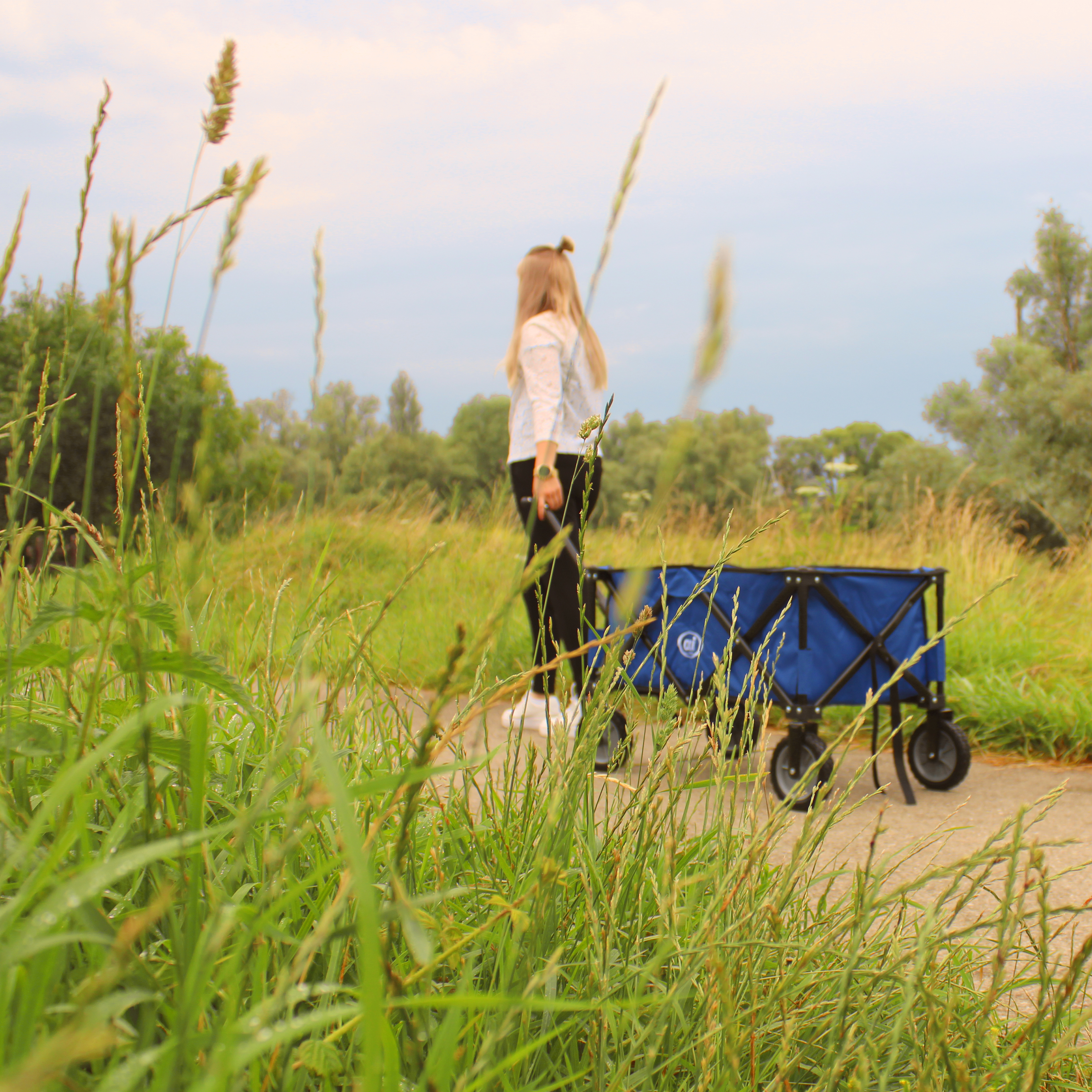 AXI AB110 Foldable Beach Wagon - Blue