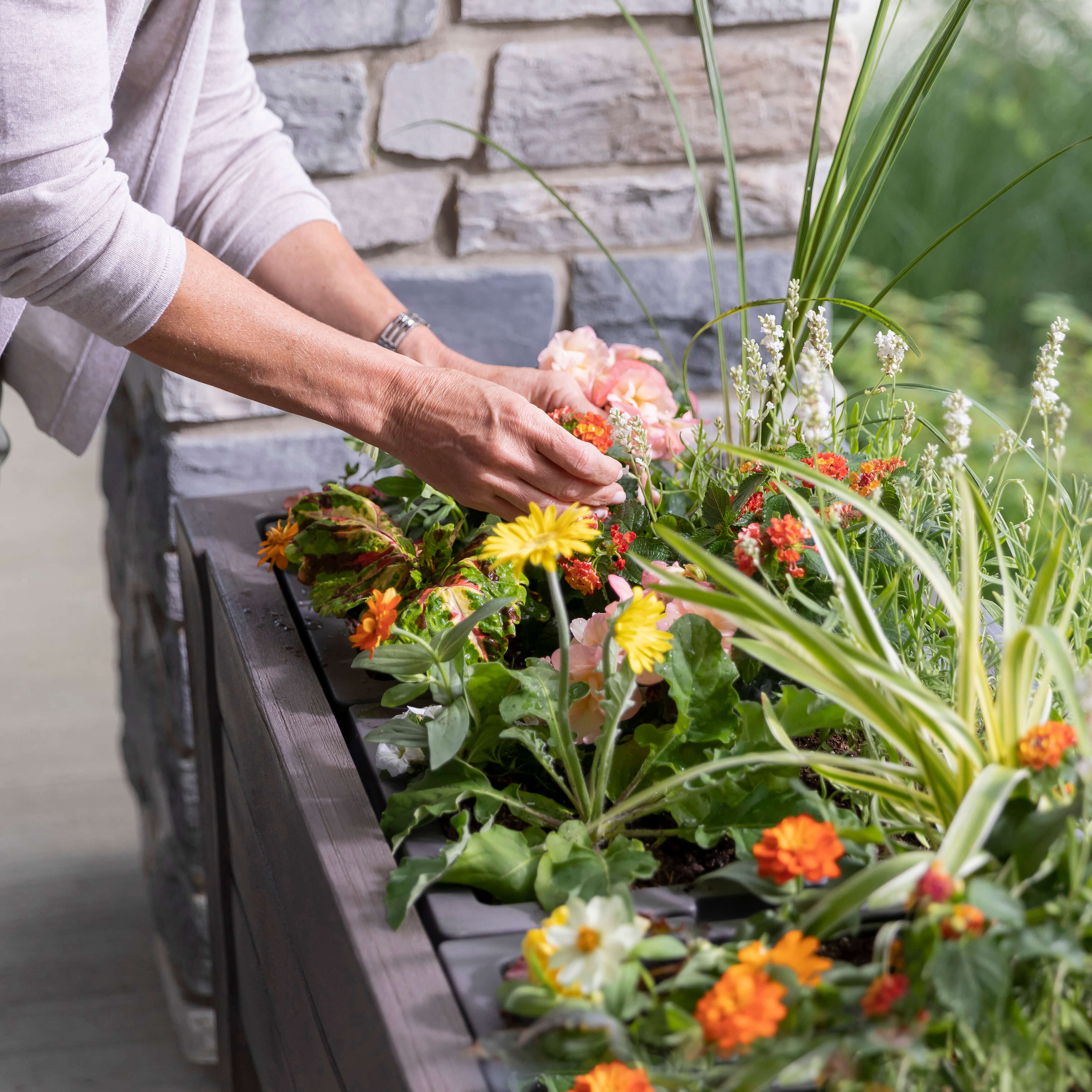 Lakewood Raised Planter Box - Dark Cedar