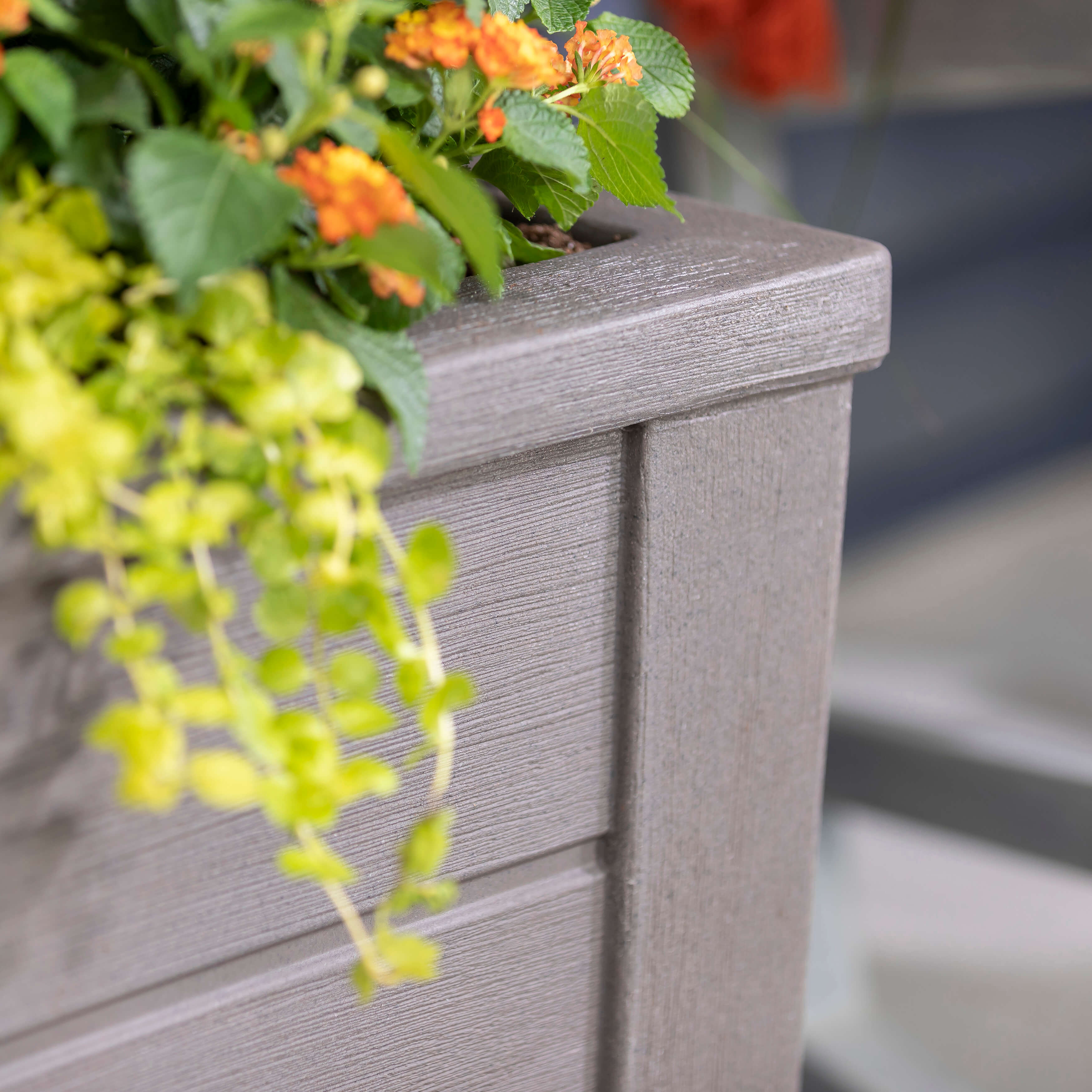 Lakewood Planter Box - Dark Cedar