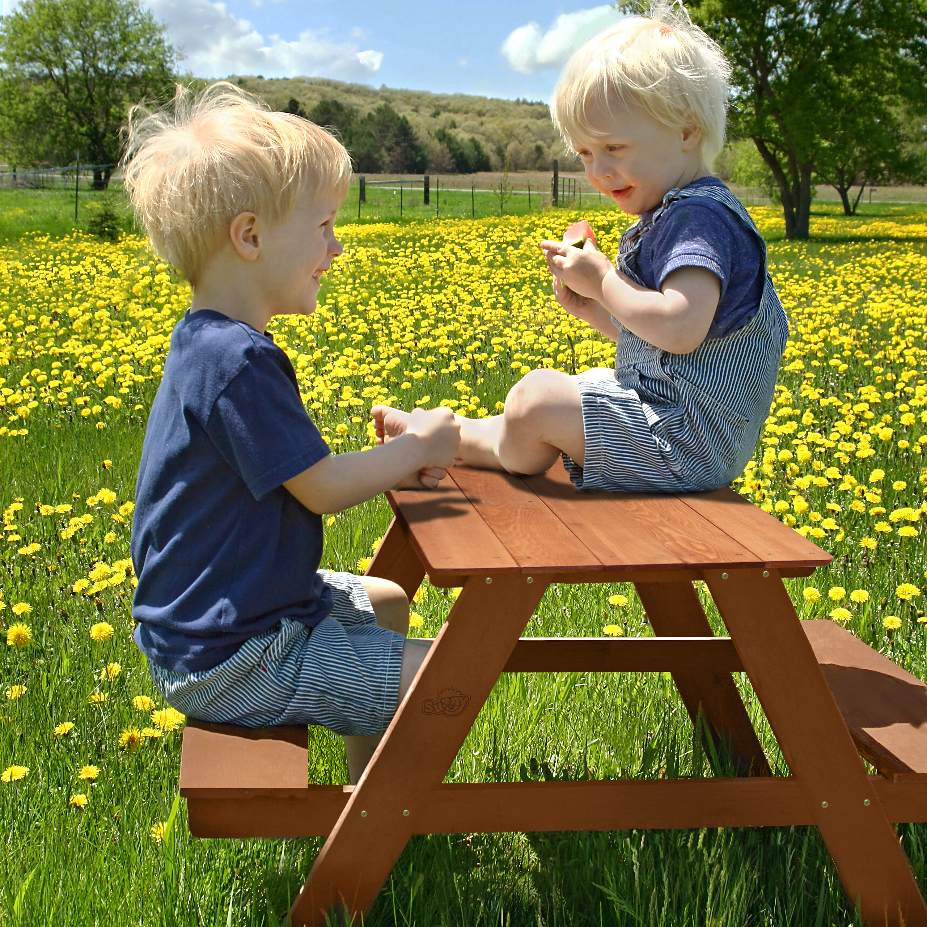 Dave Picnic Table Brown