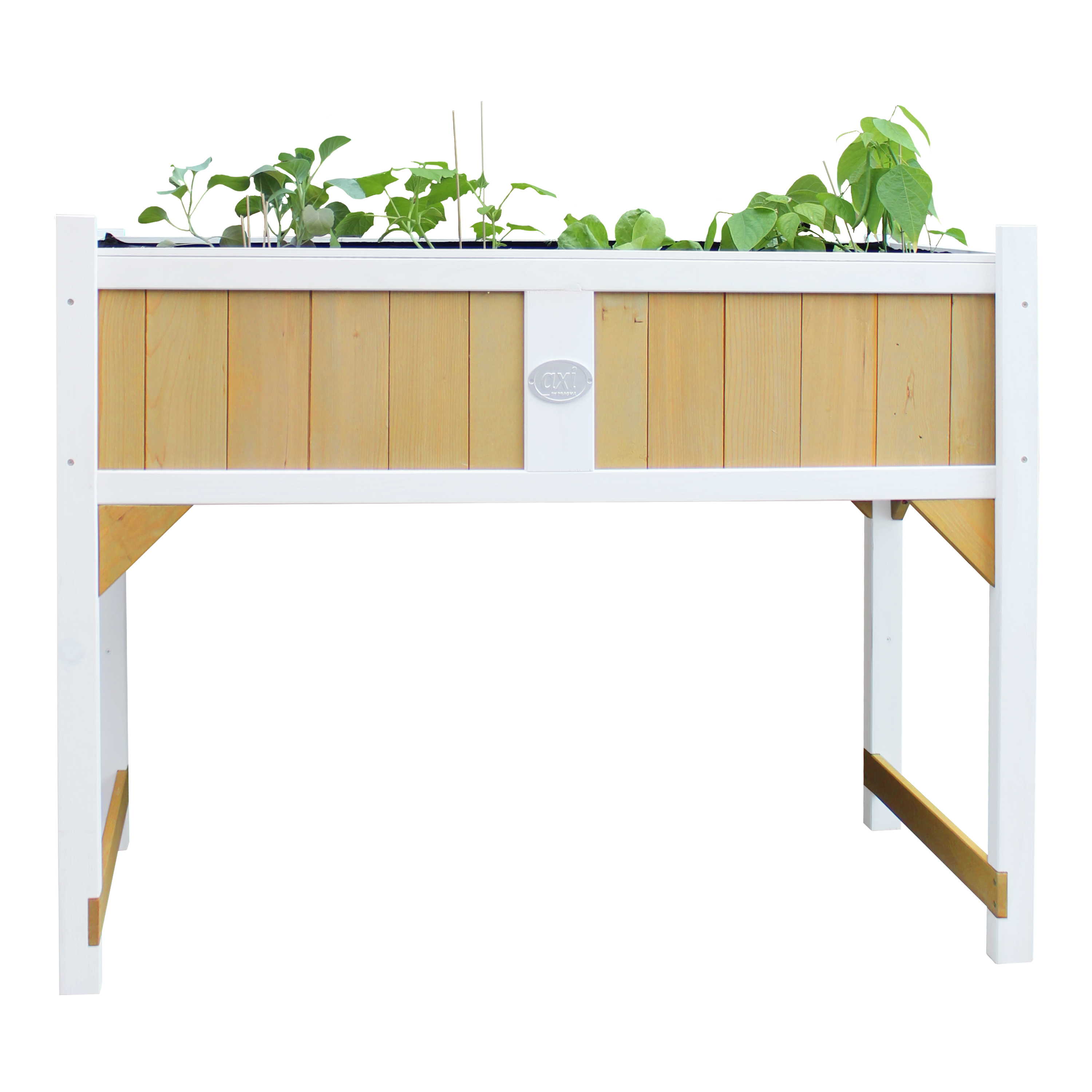 Growing Table with root mat Brown/White