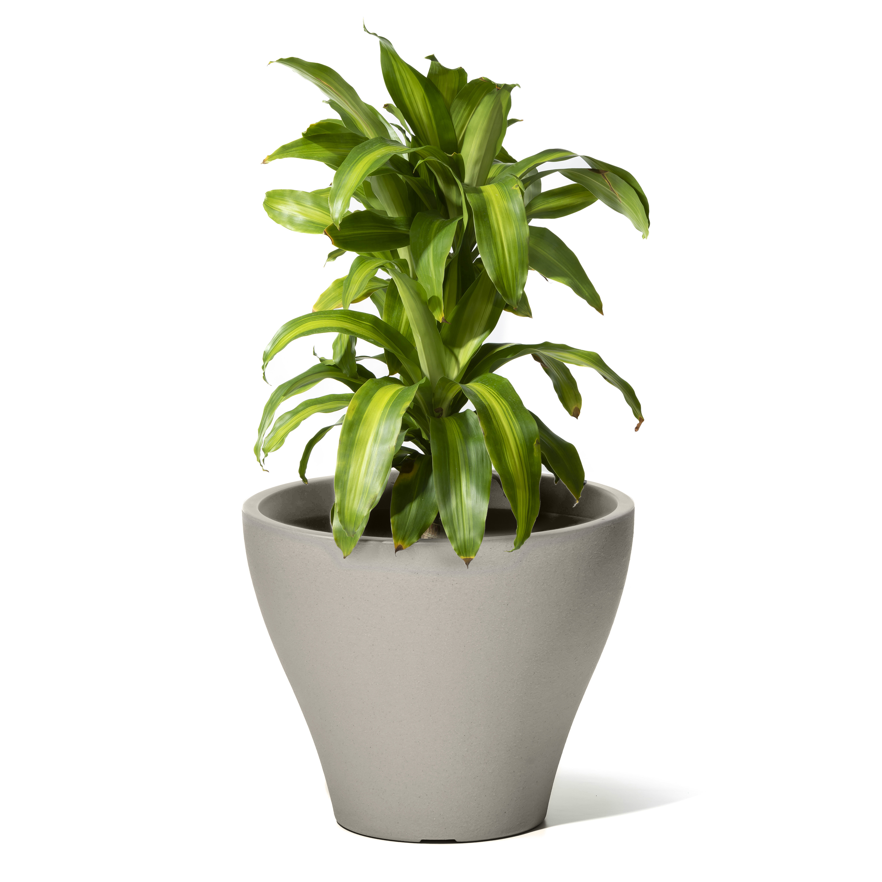 Fernway Planter - Concrete Gray