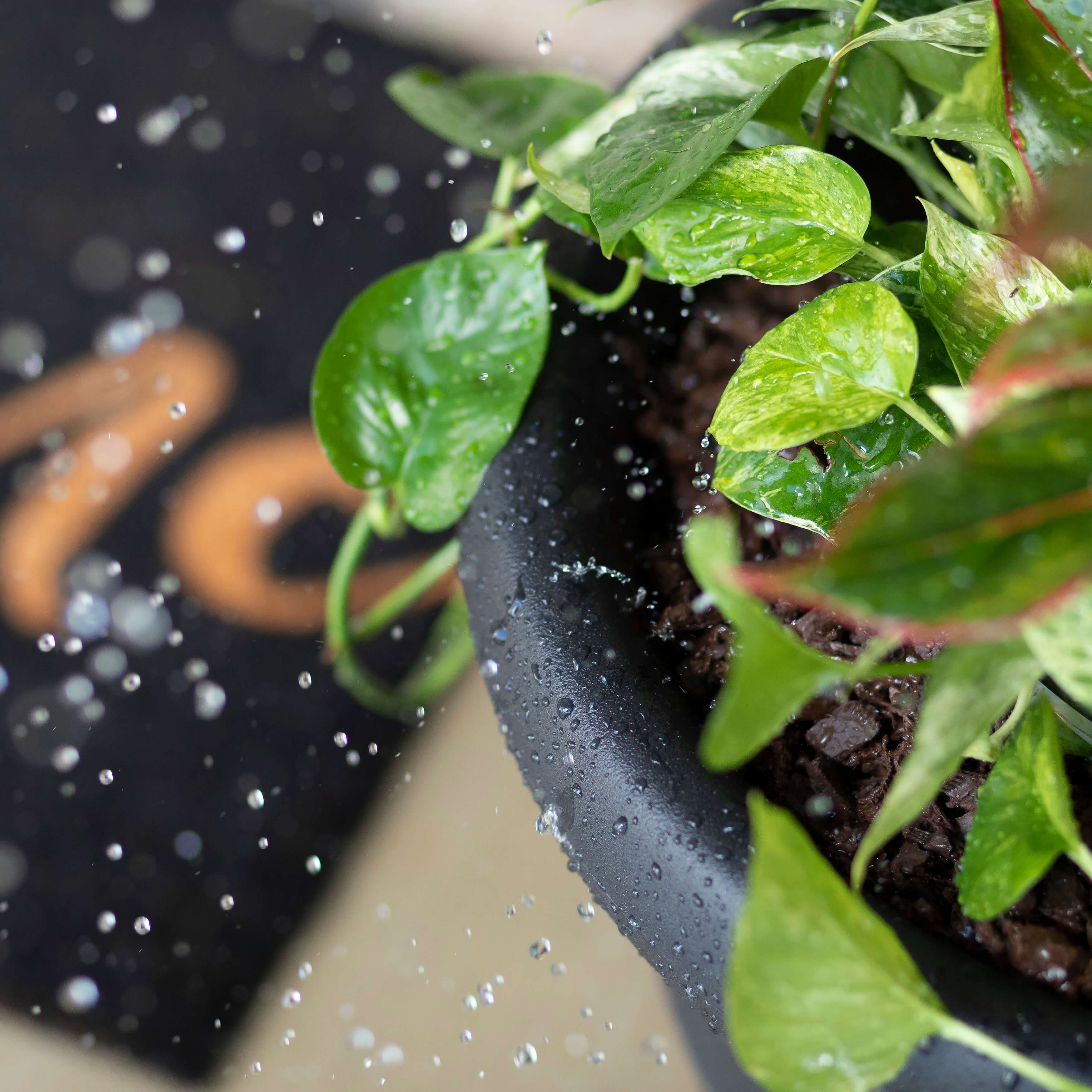 Claremont Planter - Onyx Black