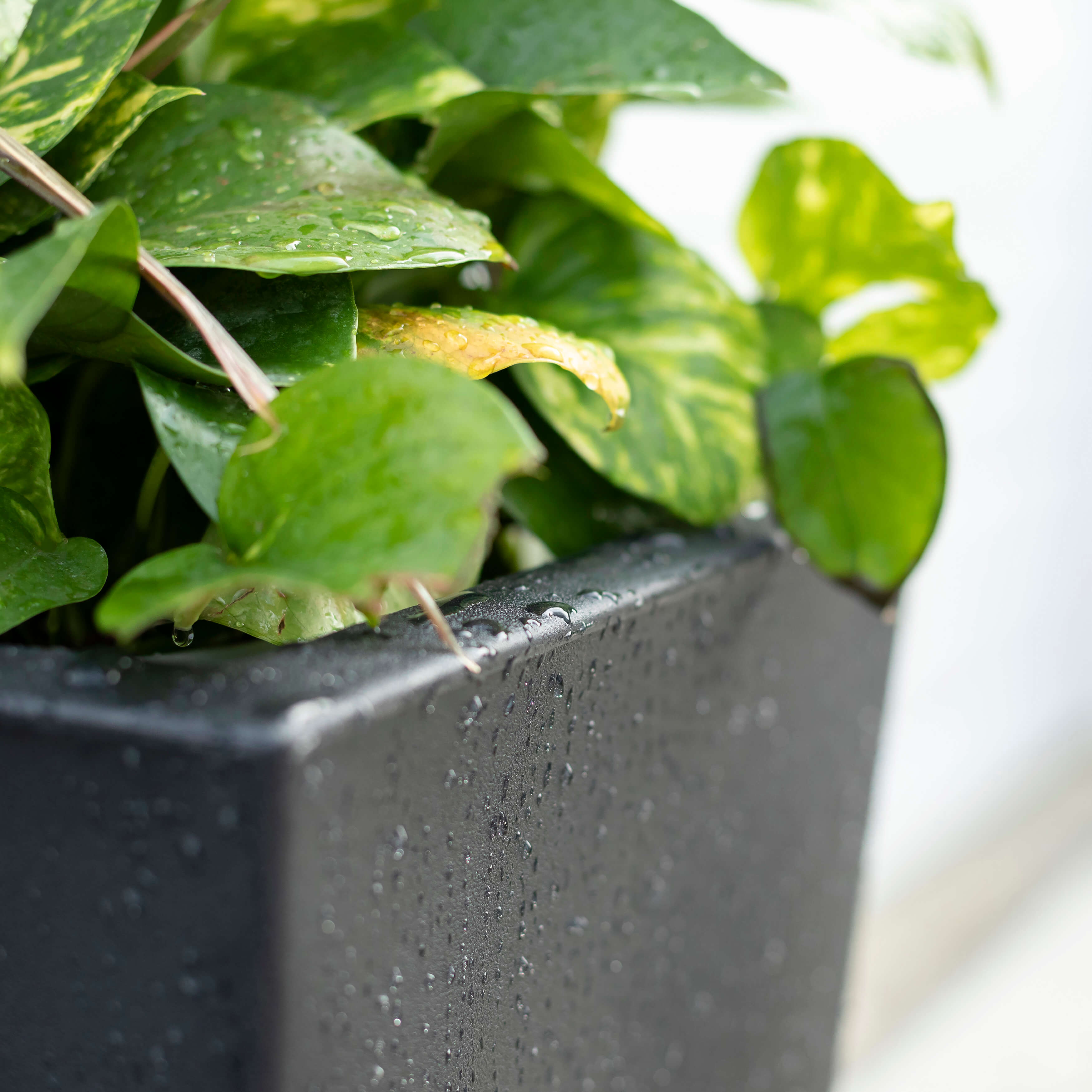 Tremont Tall Square Tapered Planter - Onyx Black