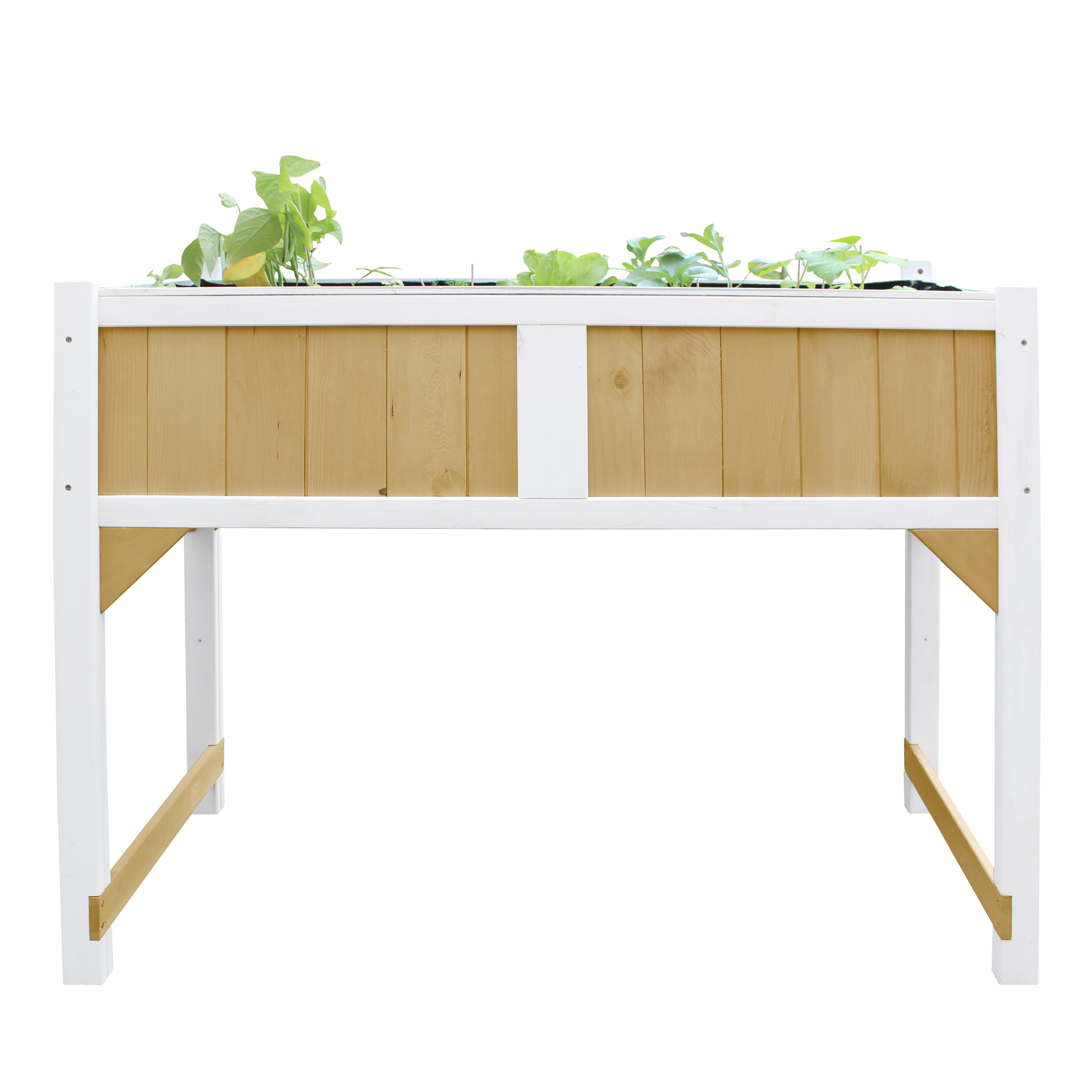 Growing Table with root mat Brown/White