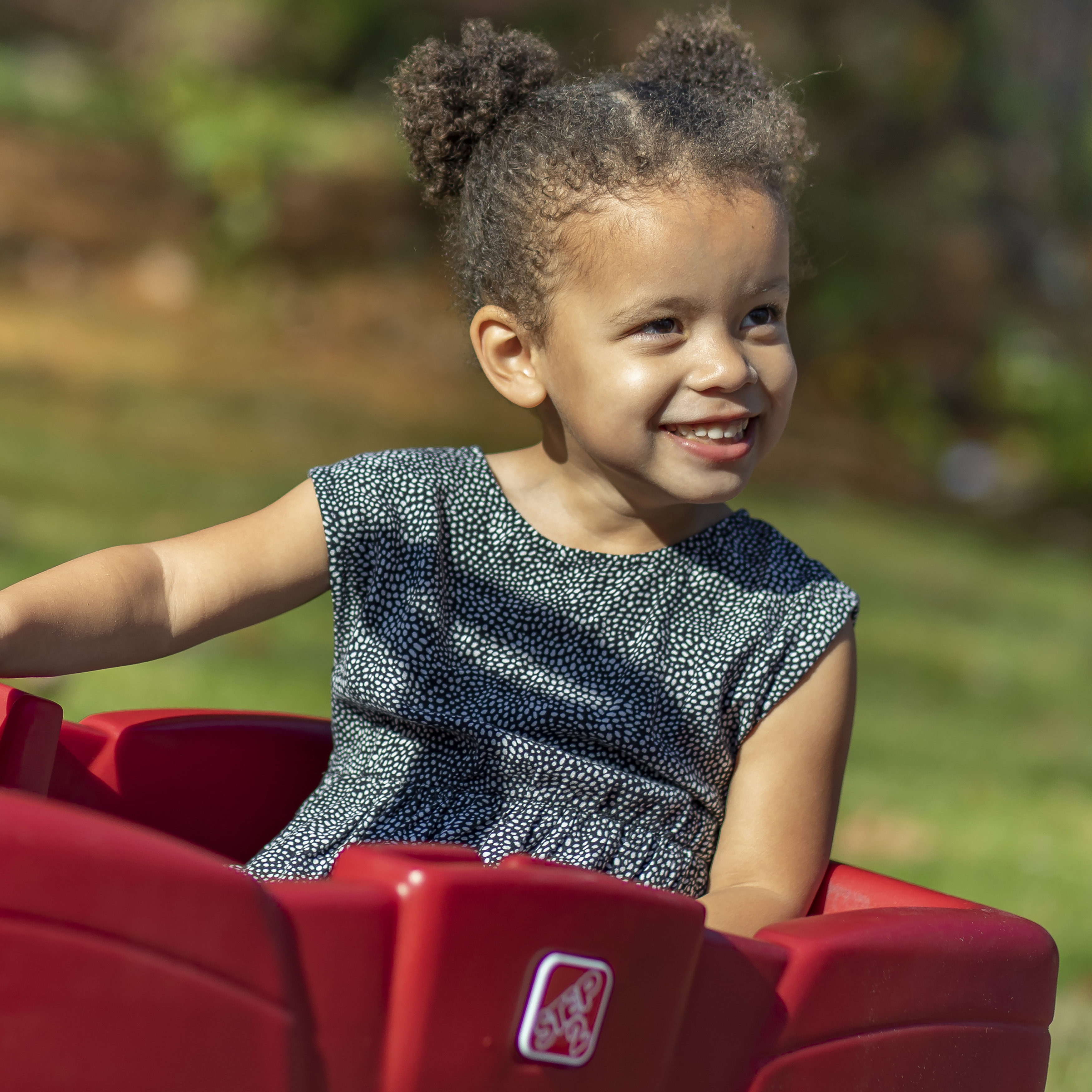 Neighborhood Wagon